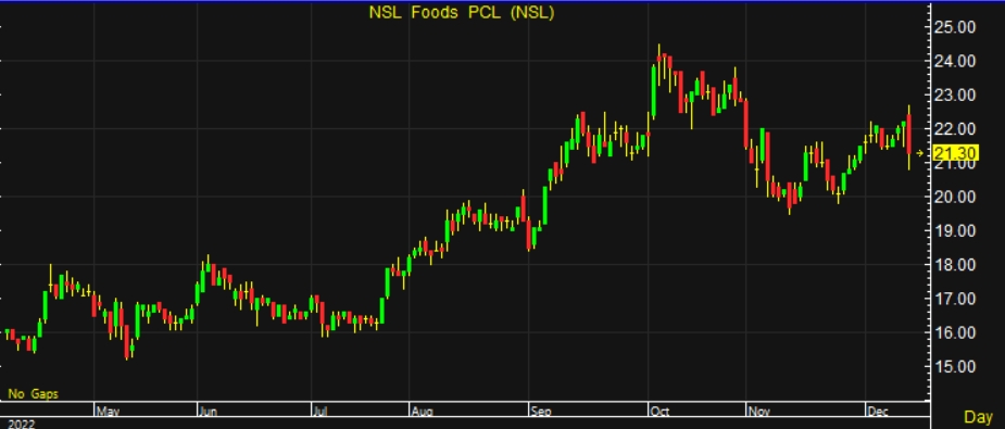 nsl stock price